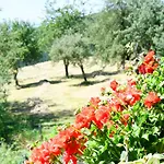Urlaub Am Haberlehof Gurk