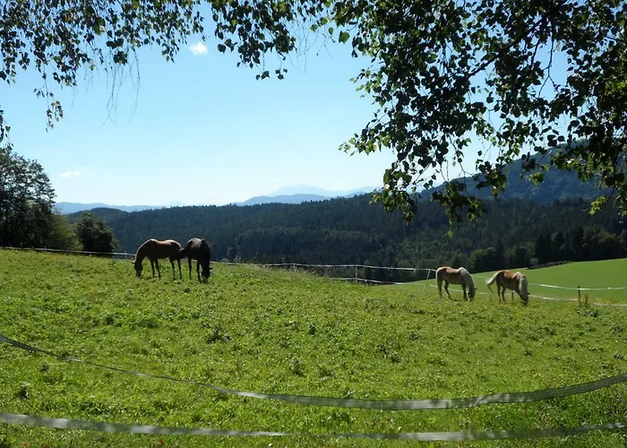 Urlaub Am Haberlehof * Gurk