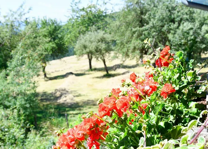 Urlaub Am Haberlehof Gurk